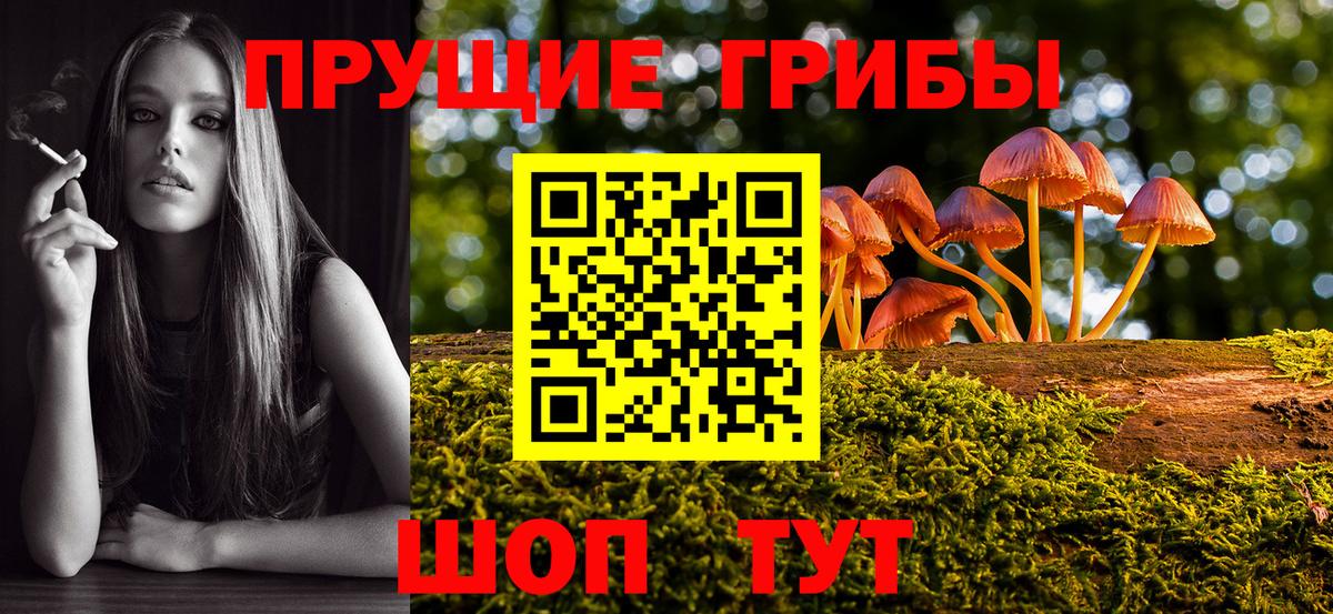 Псилоцибиновые грибы Magic Shrooms  купить   Вход с VPN  Саров  Псилоцибиновые грибы Psilocybine cubensis 