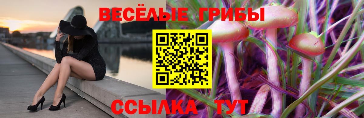 Галлюциногенные грибы GOLDEN TEACHER Саров